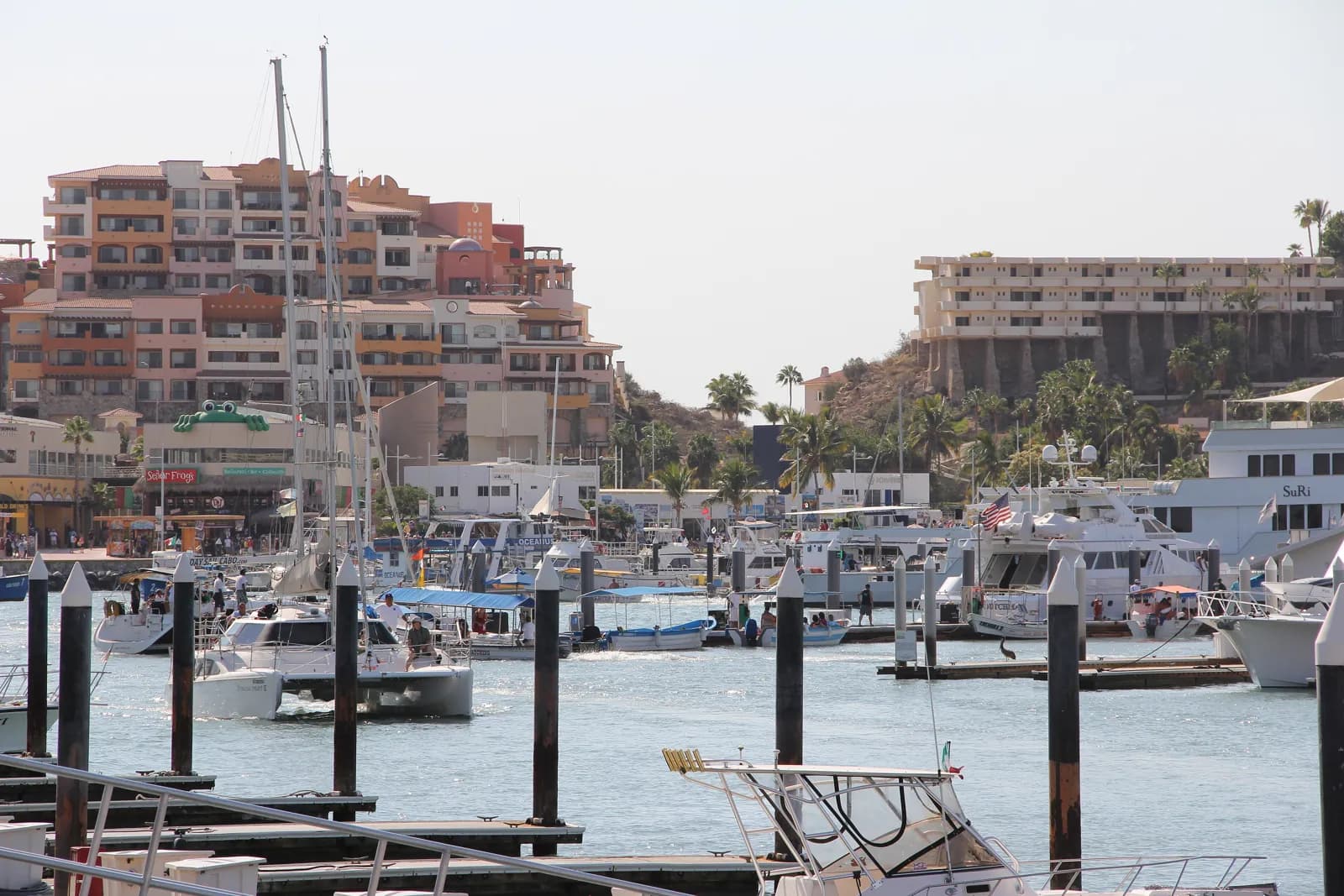 Embarcaciones y edificios frente a la marina de Cabo San Lucas